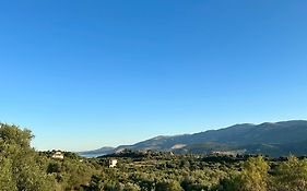 Traditional Villa Mandola